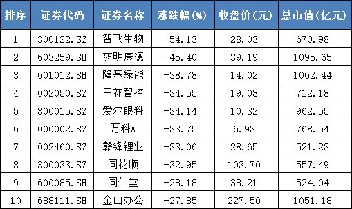 2024年上半年A股市场500亿市值以上公司跌幅最大前十名