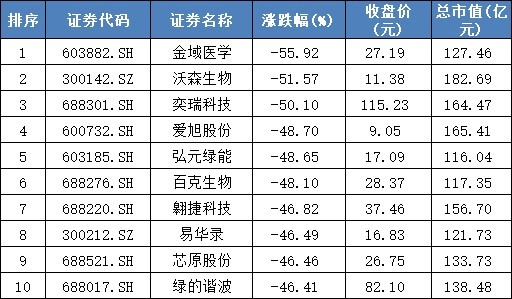 2024年上半年A股市场100-500亿市值公司跌幅最大前十名