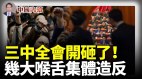 三中全会开砸了中共几大喉舌集体造反(视频)