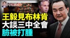 王毅會見布林肯大談三中全會中共臉隨即被打腫(視頻)