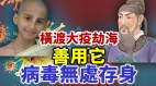 医神真容曝光揭化解当前及未来几年人类困境的唯一方案(视频)