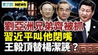 刘亚洲兄弟被抓习近平叫他闭嘴；传杨洁篪将被王毅取代(视频)