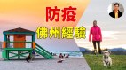 【东方纵横】封城并没有阻挡疫情传播(视频)