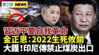 习近平要自我革命金正恩：2022生死攸关(视频)