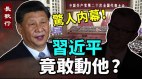 20大惊人内幕王岐山妻侄姚庆被抓习近平要动王岐山(视频)