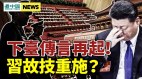 传习近平要下台再次倒逼元老北京熄灯异象频现(视频)