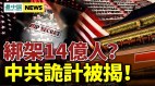 曝清零真目的中共打手被定罪習近平派祕密小組赴美(視頻)