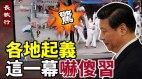 各地起义大白造反柏林墙倒塌纪念日这一幕吓傻习近平(视频)