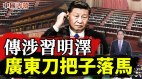 传涉习近平女儿案广东原公安厅长落马秘闻秦刚升外长(视频)