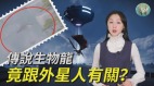 传说生物“龙”竟跟外星人有关(视频)