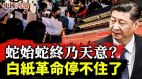 “白纸革命”首战告捷习近平当局对民众做出了让步(视频)