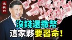 这人要习近平命胡锦涛现身再消失；追悼江泽民2人异常(视频)