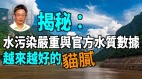 【王维洛专访】揭秘：水污染严重与官方水质数据越来越好的猫腻(视频)