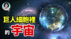 在巨人的细胞里发现了宇宙(视频)