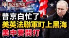 美军情官员史无前例大揭秘乌军啥都知道(视频)