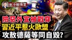 屠杀无辜俄国抵赖乌国和西方收集战争罪证据(视频)