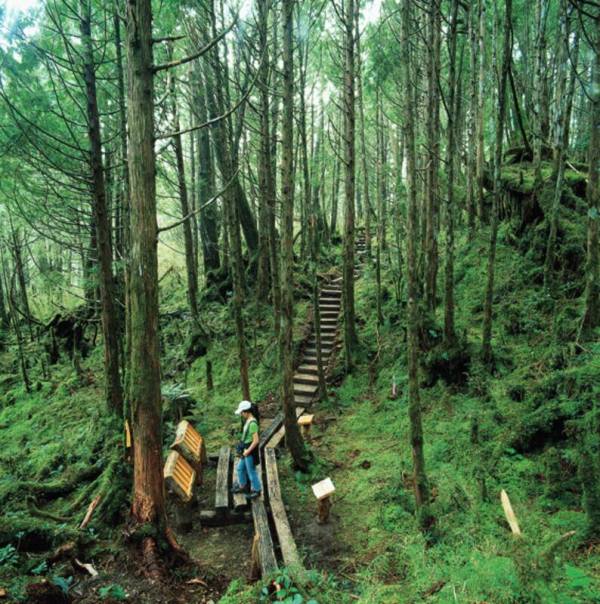 宜兰县太平山翠峰湖环山步道内的奥陶纪苔原区（图）测得音量仅有25分贝，18日获世界非营利组织“国际宁静公园”授证成为全球首条宁静步道。