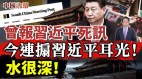 曾報習近平死訊今連搧習近平耳光誰在它的背後撐腰(視頻)