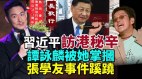 习近平访港秘辛林郑被斥不懂规矩谭咏麟被她掌掴(视频)