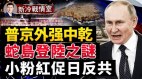 普京服软想和谈俄博主大怒：俄军高层应上军事法庭(视频)