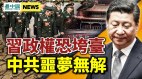 习近平连任机会仅10华为前主管不忍了(视频)