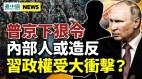 释动手信号习近平受最大挫败内部人反了(视频)