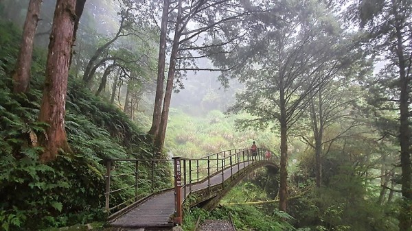 见晴古道