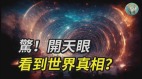 惊开天眼看到世界真相(视频)