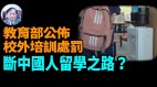 【谢田时间】中共校外培训处罚办法冲着什么来的(视频)