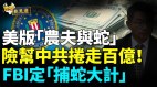 渦輪機行業：數百億美元的市場；不知自己早成「獵物」(視頻)