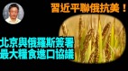 【王維洛專訪】習近平為聯俄抗美與俄羅斯簽署兩國史上最大糧食進口協議(視頻)