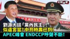 紅二代劉源大談「黨內民主」似逼宮習中共時壽已到(視頻)