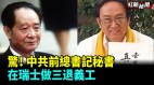 中共前总书记秘书在瑞士卢塞恩做三退义工(视频)