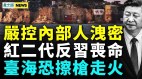 臺海戰爭或這樣爆發打擊體制內吹哨；紅二代反習喪命(視頻)