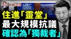 中共黨魁四大醜聞中共喉舌把這事廣為告之(視頻)