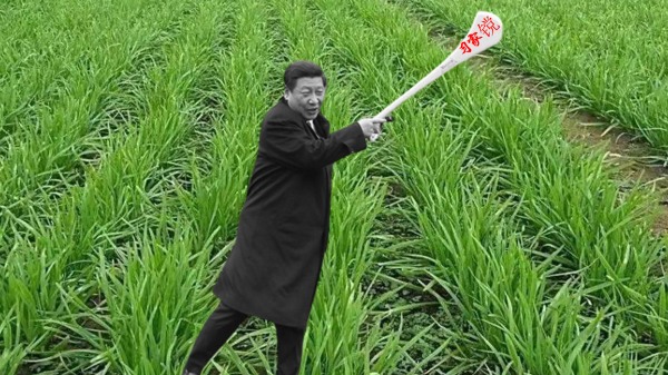 习近平