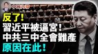 反了习近平被逼宫被连开四炮三中全会为什么难产(视频)