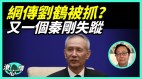 刘鹤因“看不下去”被抓分析：好戏在后头(视频)