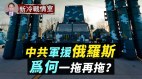 中共为何提出和平建议拉普京坐下来谈判(视频)