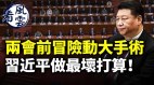 两会前冒险动“大手术”习近平做最坏打算(视频)