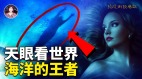 修炼者天眼见闻海洋的王者美人鱼种族(视频)