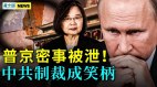 制裁蕭美琴里根圖書館中共成笑柄雙英返臺成果不同(視頻)