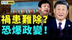 习近平此举埋祸患胡锡进惨了河南人反了(视频)