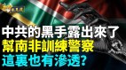 中共黑手伸向南非；这个组织竟然有中共警察(视频)