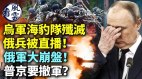 乌军海豹队歼灭俄兵被直播俄军大崩盘普京要撤军(视频)