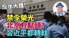 分析：北京恐不樂見《願榮光》被禁(視頻)