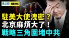 外交部出大事党媒起底丑闻；中共被这国盯上(视频)