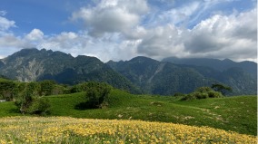 【贯明专栏】金针花飘香在花莲六十石山(组图)