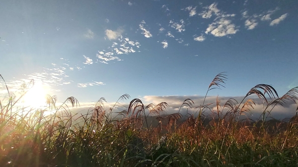 基隆山在入秋之时，满山遍野的芒花宛若下雪一般，所以才有“鸡笼积雪”这个名胜出现。