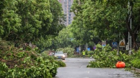 台风“贝碧嘉”肆虐江苏至少3人死亡(图)